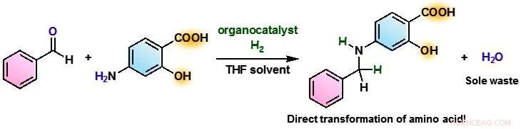 Hydrogen-Driven Catalytic Reductive Alkylation: Advancing Ideal Amino Acid Synthesis