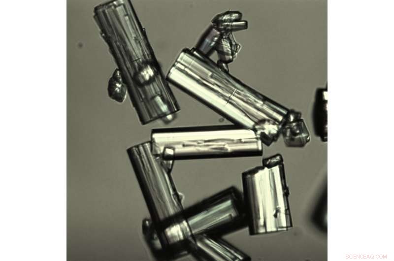 Advanced Water Harvester Proves Effective in Desert Tests, Producing Fresh Water from Ambient Air