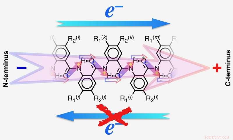 UC Riverside Breakthrough: Bioinspired Electret Dipole Guides Electrons to Positive Pole