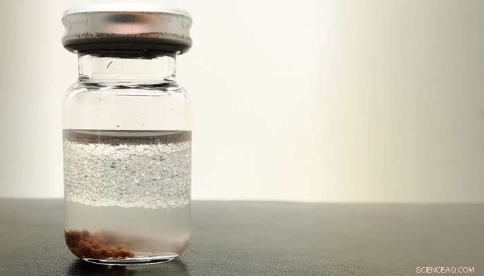 Revolutionary Lignin Breakthrough: Spherical Particles Amplify Enzyme Efficiency