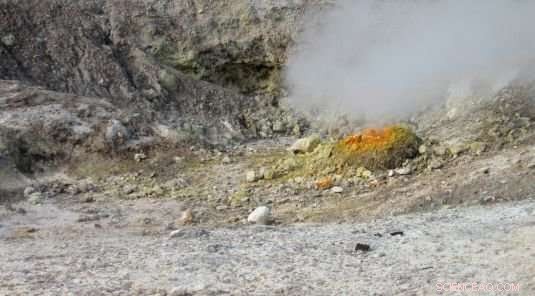 The Biological Significance of Europium in Bacterial Enzymes