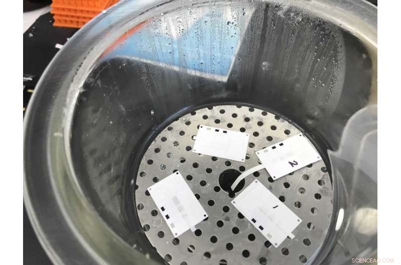 New Electrochemical Test Enables Rapid, Accurate Detection of Bacterial Infections