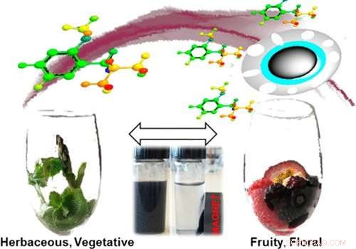 Magnetic Nanoparticle Treatment Promises to Eliminate Off-Flavors in Wine