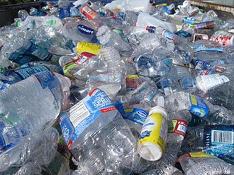 Harnessing Nature’s Enzymes to Revolutionize Plastic Degradation
