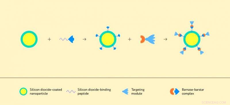 New Molecular Assembly Technique Paves Way for Targeted Cancer Therapy & Diagnostics