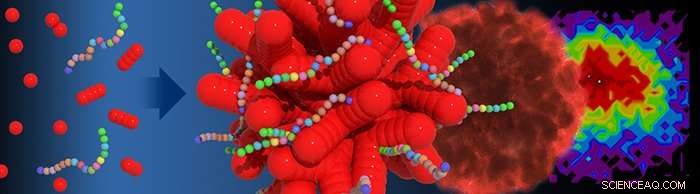 Designing Coral-Shaped Gold Nanoparticles with Engineered Peptoids