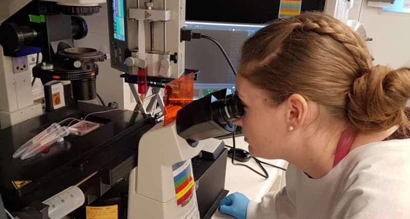 Microfluidic Device Enables Early Non-Invasive Fetal Blood Screening