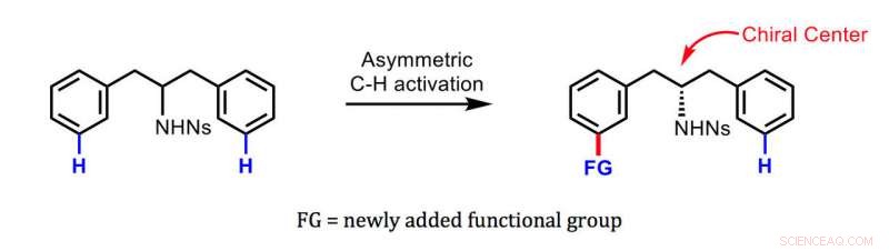 Scripps Researchers Pioneer Remote Chiral Induction in Enantioselective Synthesis