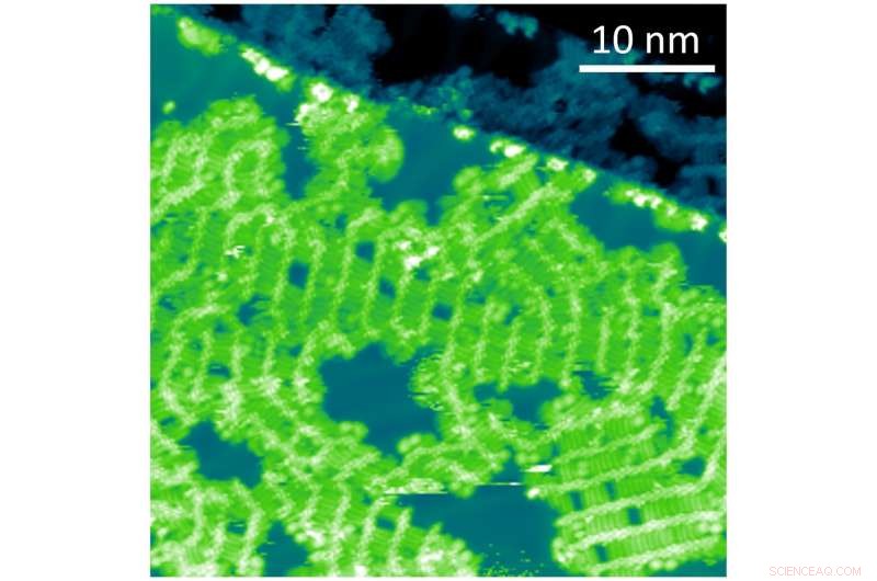 High-Resolution STM Images Reveal Unexpected ABBA-Like Pattern in Conducting Polymers