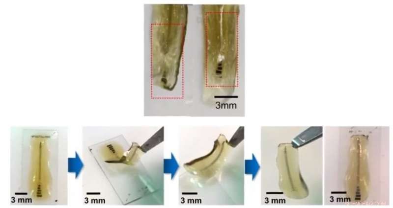 Connecting Minds: Advancing Brain‑Machine Interface Technology