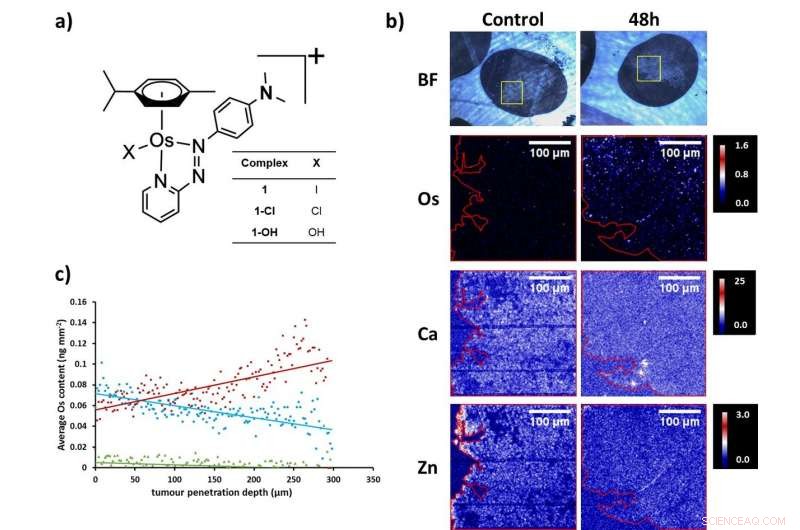 Assessing Tumor Penetration of a Novel Anticancer Agent via X‑ray Fluorescence Mapping