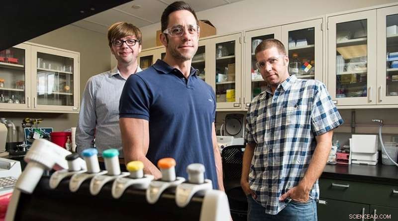 Innovative Genetic Technique Boosts Enzyme Efficiency in Biomass Breakdown