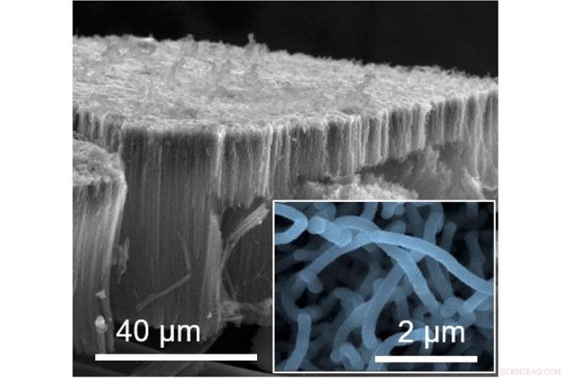Hybrid Supercapacitors: The Next Generation of High‑Performance Energy Storage