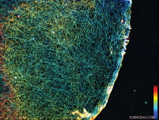 Innovative Beacons Illuminate Cellular Interiors