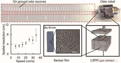 Robotic Bloodhound Detects Ground Odors with Precision