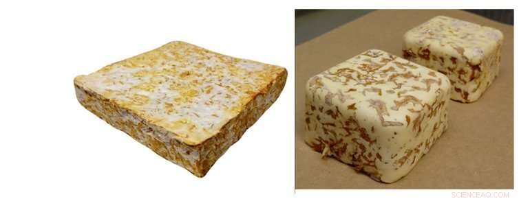 Innovative Low‑Carbon Building Material: Fungus, Rice, and Glass