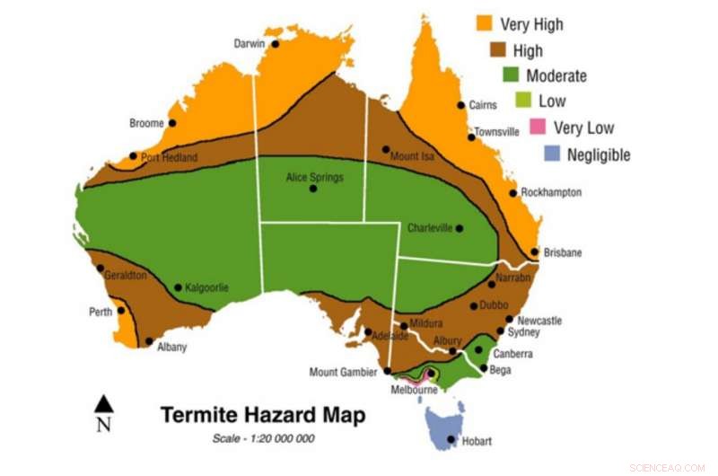 Innovative Low‑Carbon Building Material: Fungus, Rice, and Glass