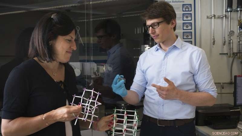 Unexpected Oxide Alliances: Novel Heterostructural Alloys Revealed