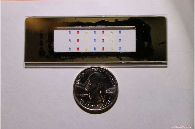 Revolutionary nanoPOTS Technology Captures Unprecedented Protein Data from Single Cells