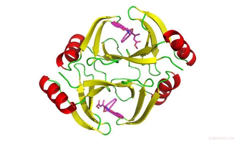 New Research Uncovers Promising Strategies to Enhance Chemotherapy Effectiveness