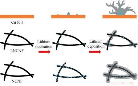 Lightweight Carbon Nanofiber Collector Enhances Lithium Nucleation and Deposition