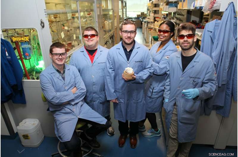 Princeton Chemists Repurpose Enzyme for Novel Molecular Construction