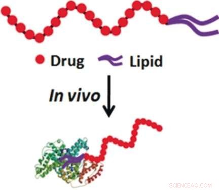 Enhanced Cancer Drug Delivery: Lipid‑Conjugated Floxuridine Transported by Serum Albumin