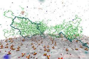 Advanced Insights: Polymers in Cement Mixes