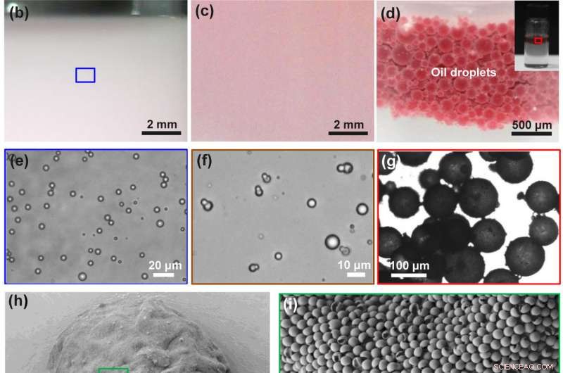 Innovative Magnetic Janus Particles Achieve Rapid, Efficient Oil–Water Separation