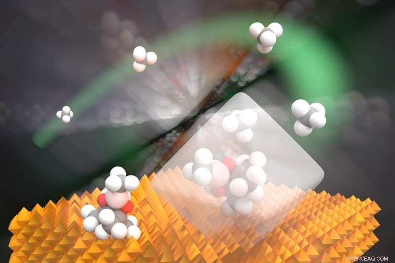 Bridging the Gap: Discovering the Key Link from Methane to Methanol