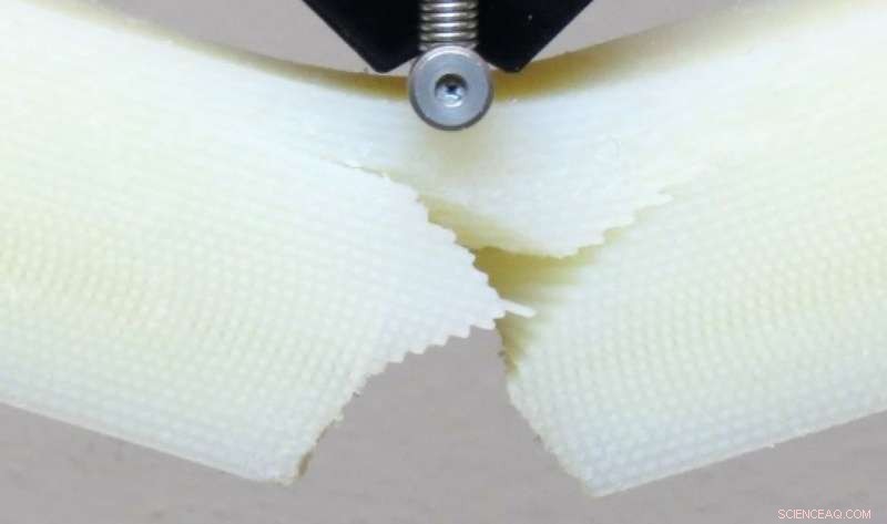 Nature s Twist: How Cracks Confer Superhero Strength to Animal Bodies