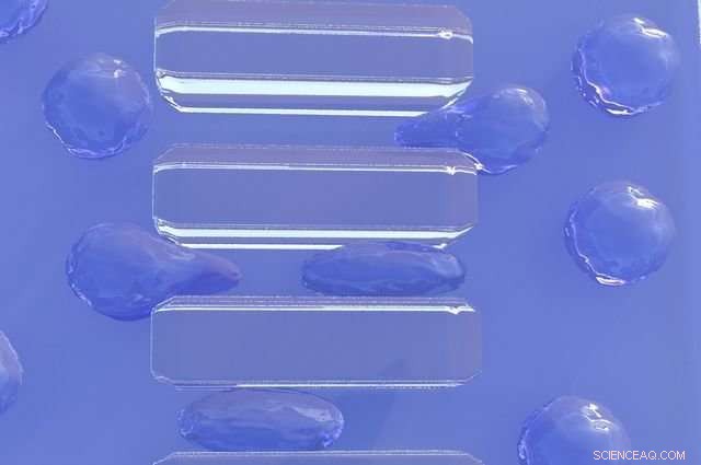 UCLA Scientists Engineer Synthetic T Cells That Replicate Human T Cell Structure and Function