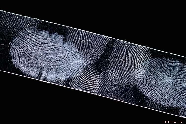 New Non-Destructive Method Recovers DNA from Fingerprints