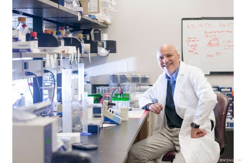 Scientists Uncover Cellular Connection Between Cancer and Aging