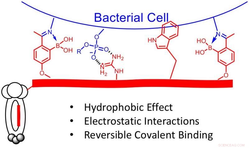 New Technology Promises Precision Antibiotics by Targeting Specific Bacterial Strains