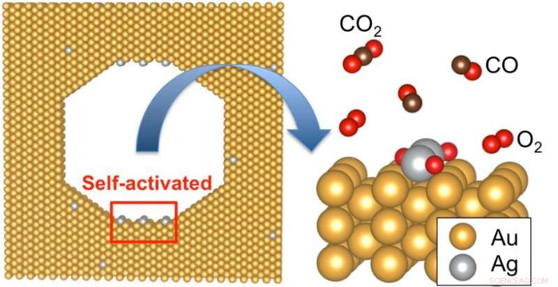 High-Activity Nanoporous Gold Catalysts Show Promising Potential