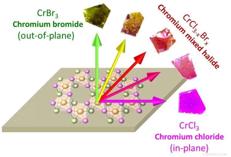 Controlling Magnetism in Ultrathin Devices via Mixed Halide Chemistry