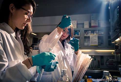 TLK2 Enzyme Shows Promise in Developing Targeted Treatments for Breast Cancer and Brain Disorders