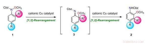 Efficient Domino Rearrangement Approach for Synthesizing Multi‑Substituted Anilines