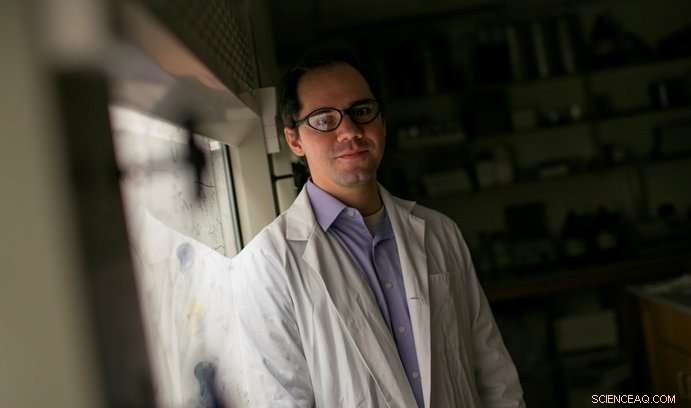 Early Success of Immunotherapy in Fighting Antibiotic-Resistant Bacteria