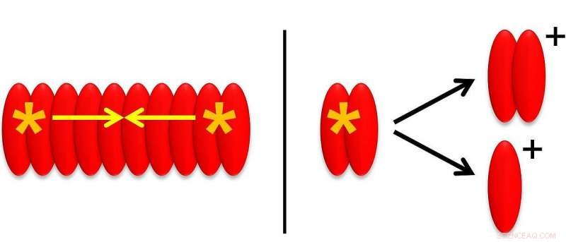 Innovative 2‑D Spectroscopy Techniques Unveiled