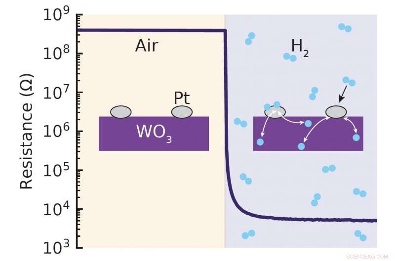 TU Delft Unveils Highly Sensitive Hydrogen Sensor Operating at Room Temperature