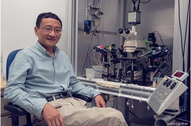 Innovative Technique for Side‑Effect‑Free Drug Development