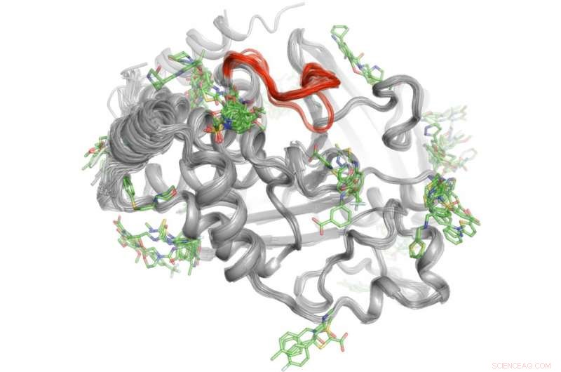 Scientists Reveal Advanced Technique to Map Protein Structures and Functions