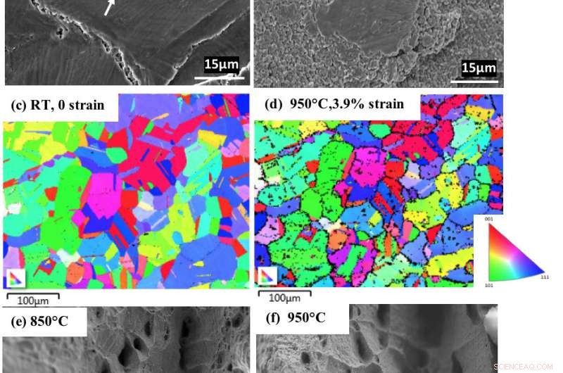 Advanced Microscopy Enables Real‑Time Imaging at 1,000°C: Insights into Nuclear Reactor Alloys