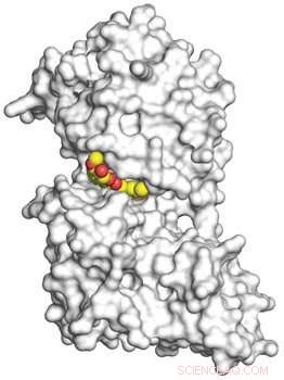 Crystal Structure Reveals Curcumin’s Mechanism for Targeting DYRK2 in Cancer Cells