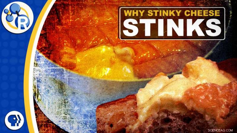 Why Stinky Cheeses Emit Odors: The Science Behind the Smell