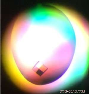 Warwick Scientists Uncover Enzyme Structure That Could Eradicate Tuberculosis