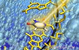 RNA Strand Enables Uracil Trapping, Uncovering a Base-Independent Photostability Mechanism