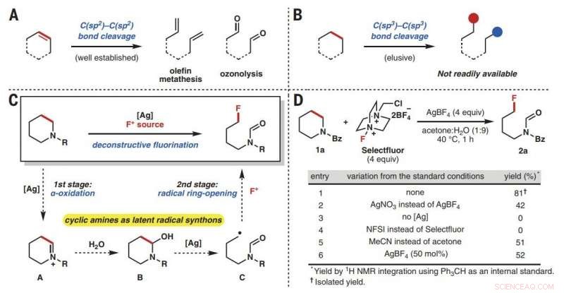Silver Salts Enable Cleavage of C–C Bonds in Unstrained Cyclic Amines
